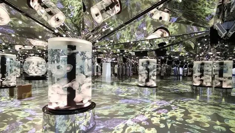 臺灣 Xpark 水族館，全方位沉浸式暢快游樂體驗
